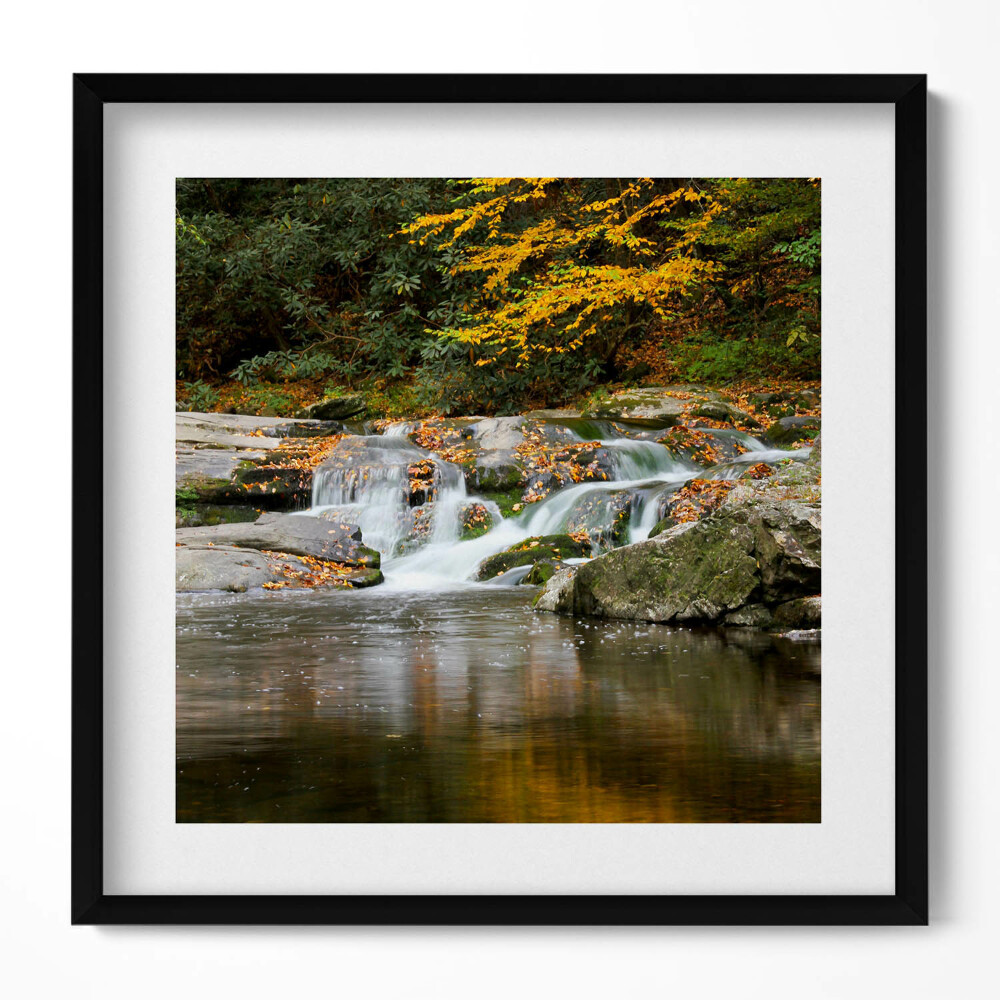 Tablou rama unic Peisaj verde al unui pârâu de pădure