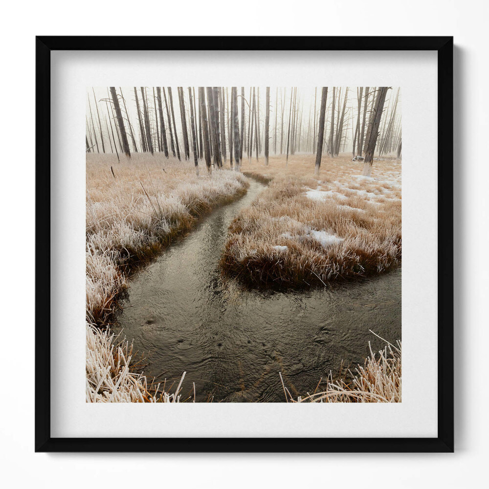 Tablou rama unic Râu în pădure iarna