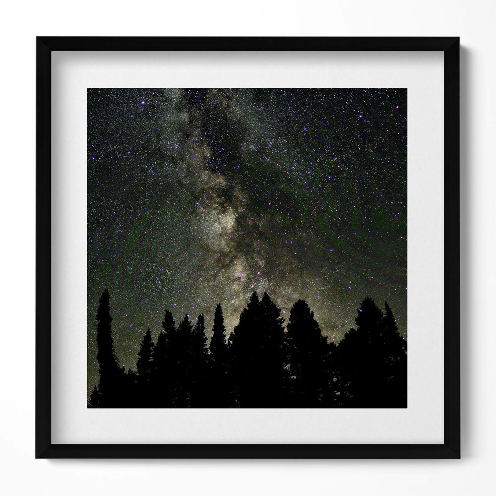 Tablou rama unic Cer înstelat peste pădure