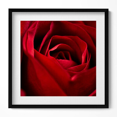 Tablou rama unic Prim-plan cu petale de trandafir roșii