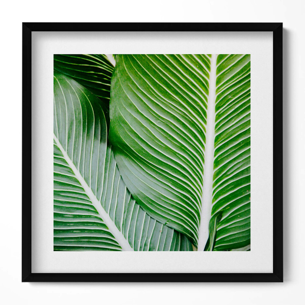 Tablou living cu rama unic Frunze verzi exotice