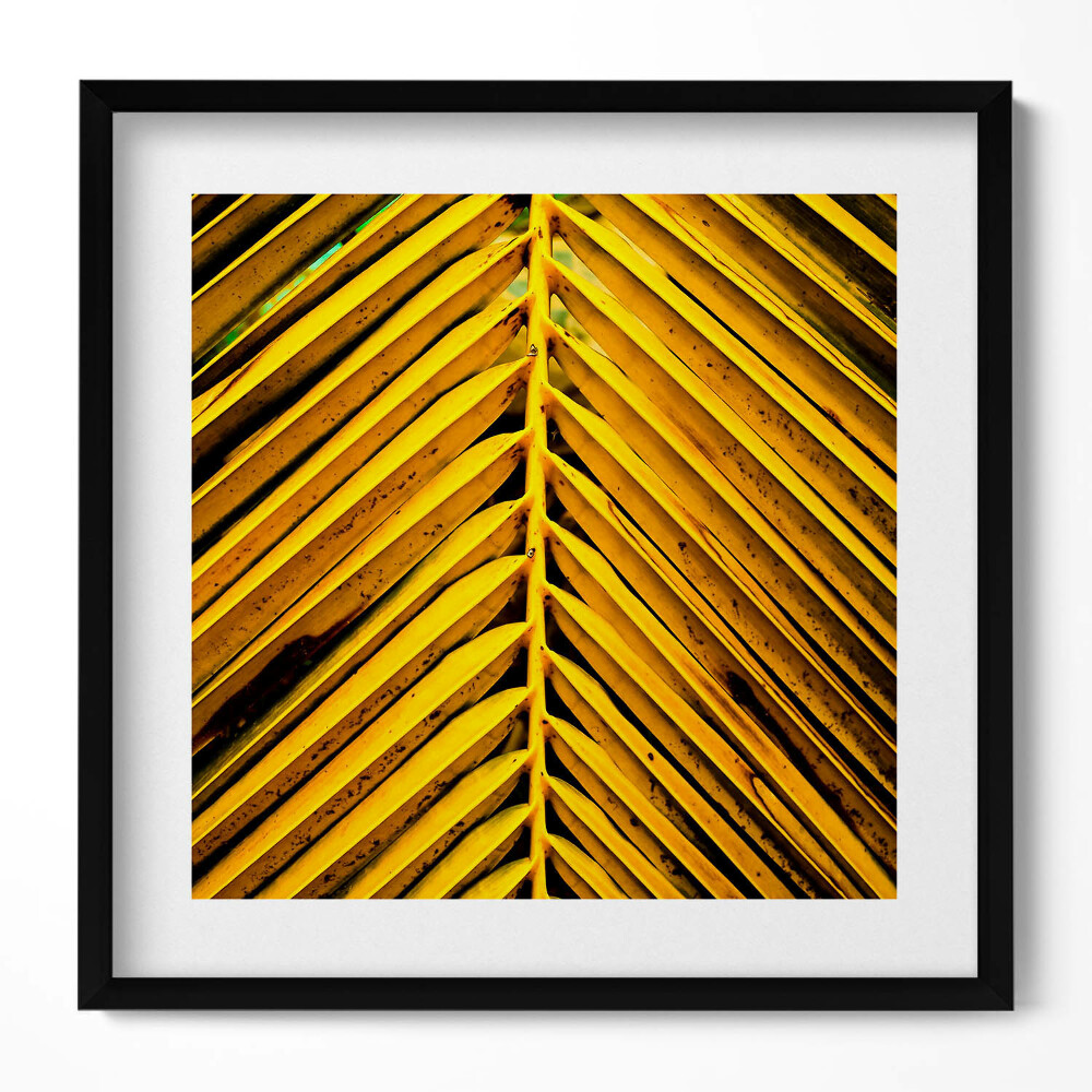 Tablou living cu rama unic Frunzele aurii ale plantei