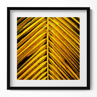 Tablou living cu rama unic Frunzele aurii ale plantei