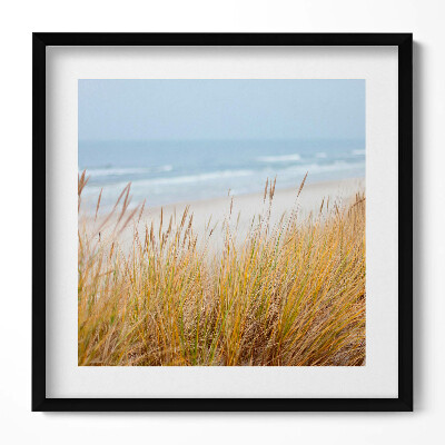 Tablou rama unic Peisaj de plajă și iarbă de pe malul mării