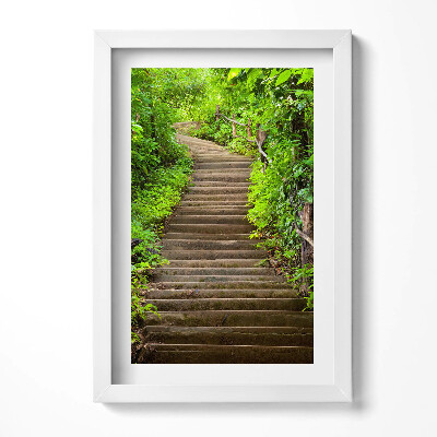 Tablou rama decorativ Scări în mijlocul pădurii