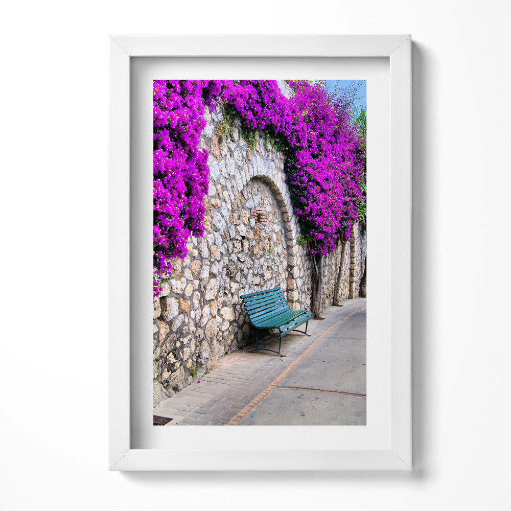 Tablou living cu rama decorativ Calea cu flori în Capri, Italia