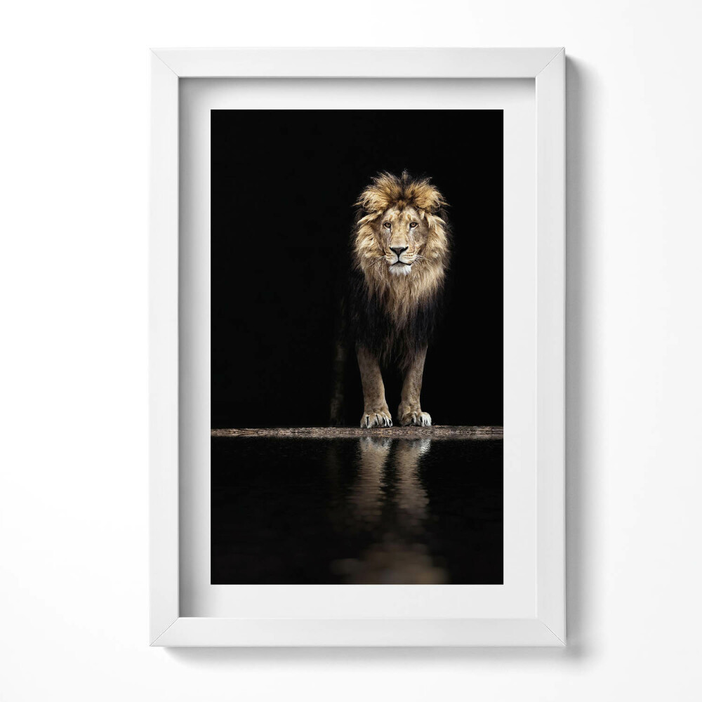 Tablou rama decorativ Leu sălbatic, animal singuratic