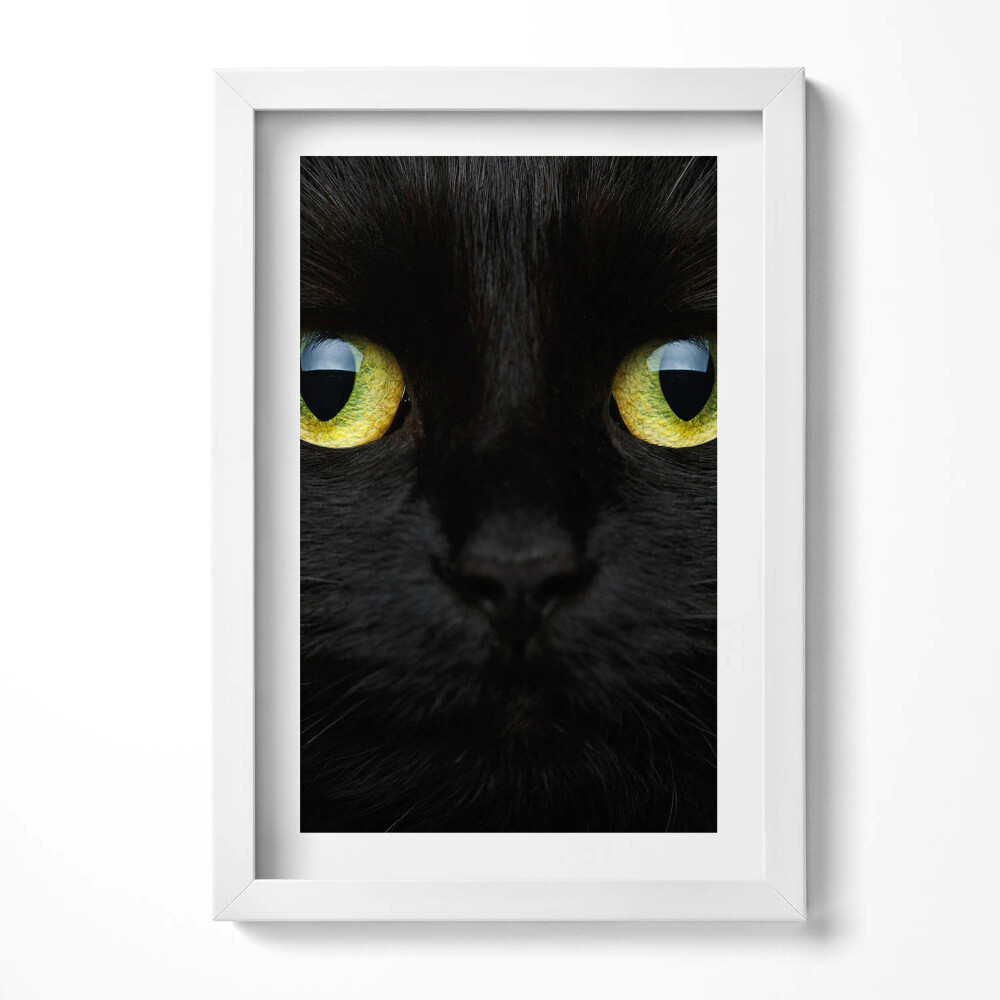 Tablou living cu rama decorativ Ochi de pisică animale