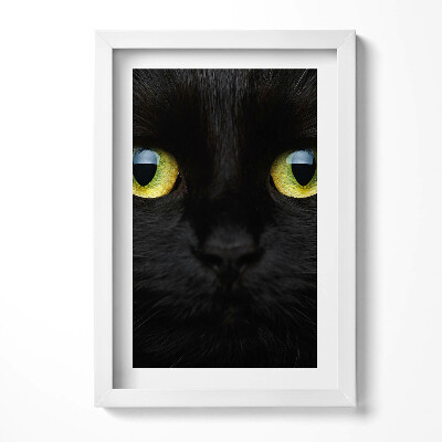 Tablou living cu rama decorativ Ochi de pisică animale