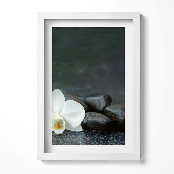 Tablou living cu rama decorativ Pietre zen cu flori albe