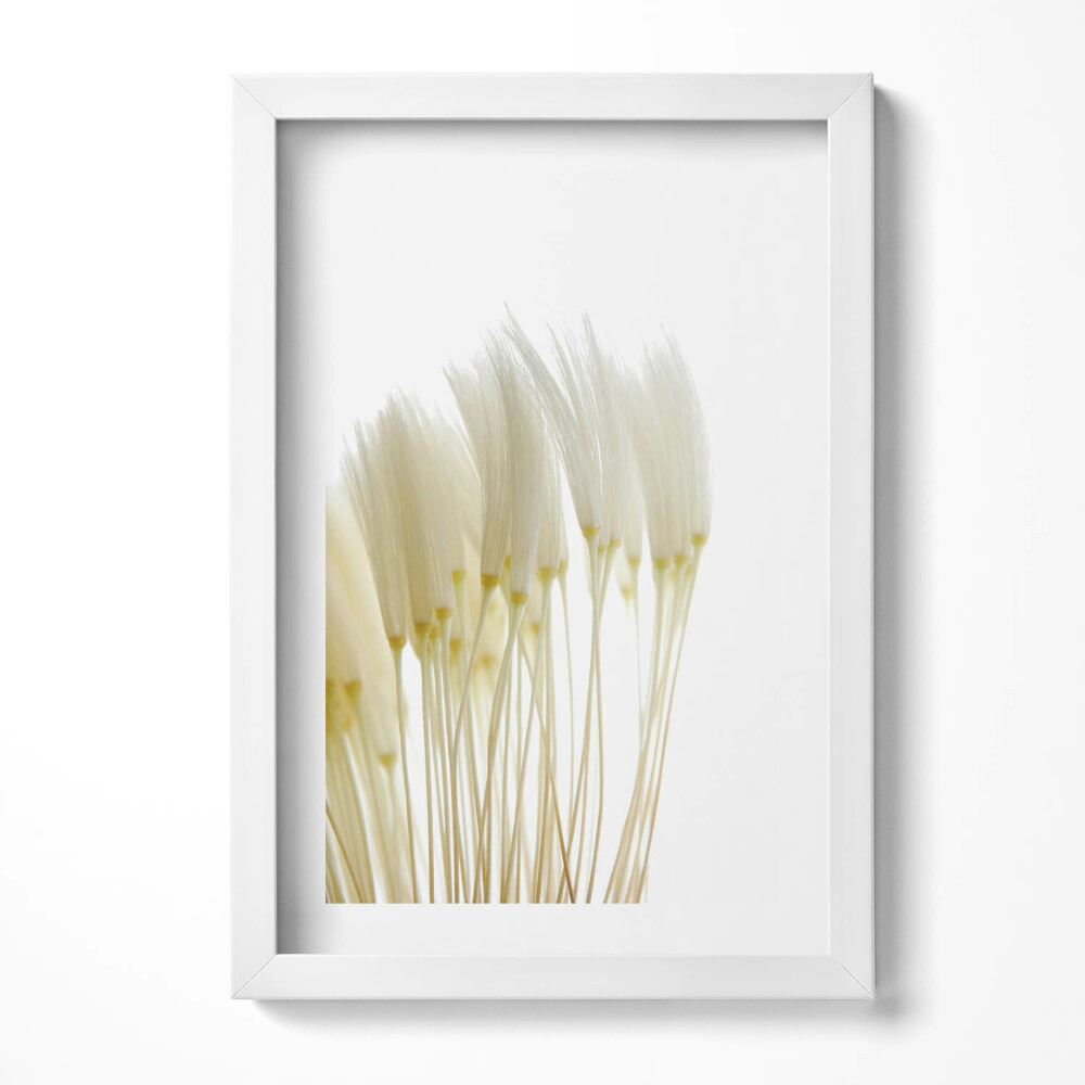 Tablou living cu rama decorativ Ierburi albe delicate