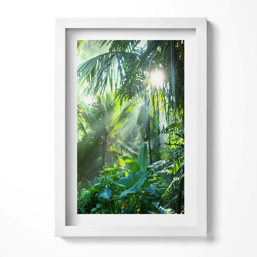 Tablou living cu rama decorativ O junglă verde plină de plante