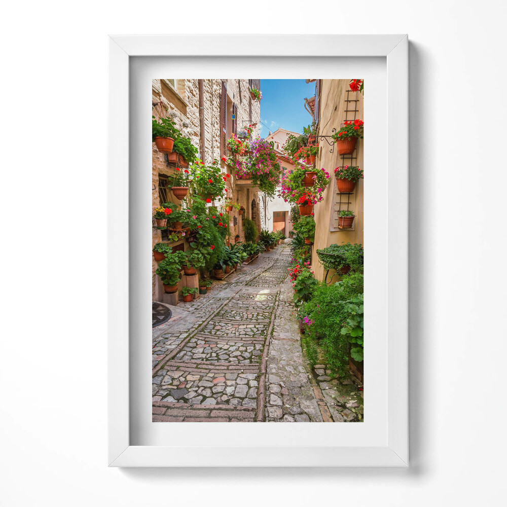 Tablou rama decorativ O stradă înflorită din Italia