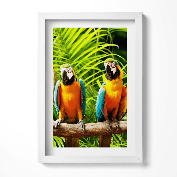 Tablou rama decorativ Doi papagali macaw colorați în junglă