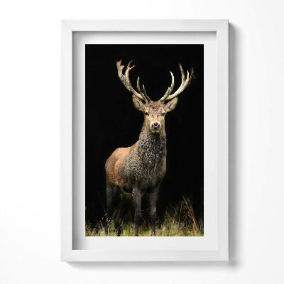 Tablou living cu rama decorativ Cerb pe fundal negru