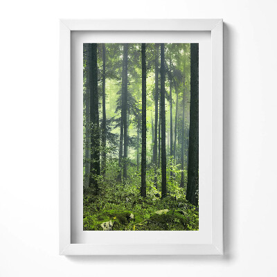 Tablou rama decorativ Peisaj de copaci și vegetație forestieră