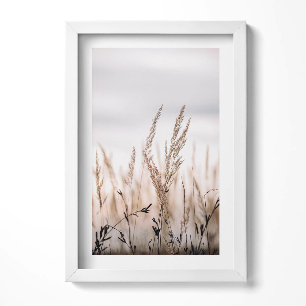 Tablou living cu rama decorativ Stil boho cu iarbă naturală