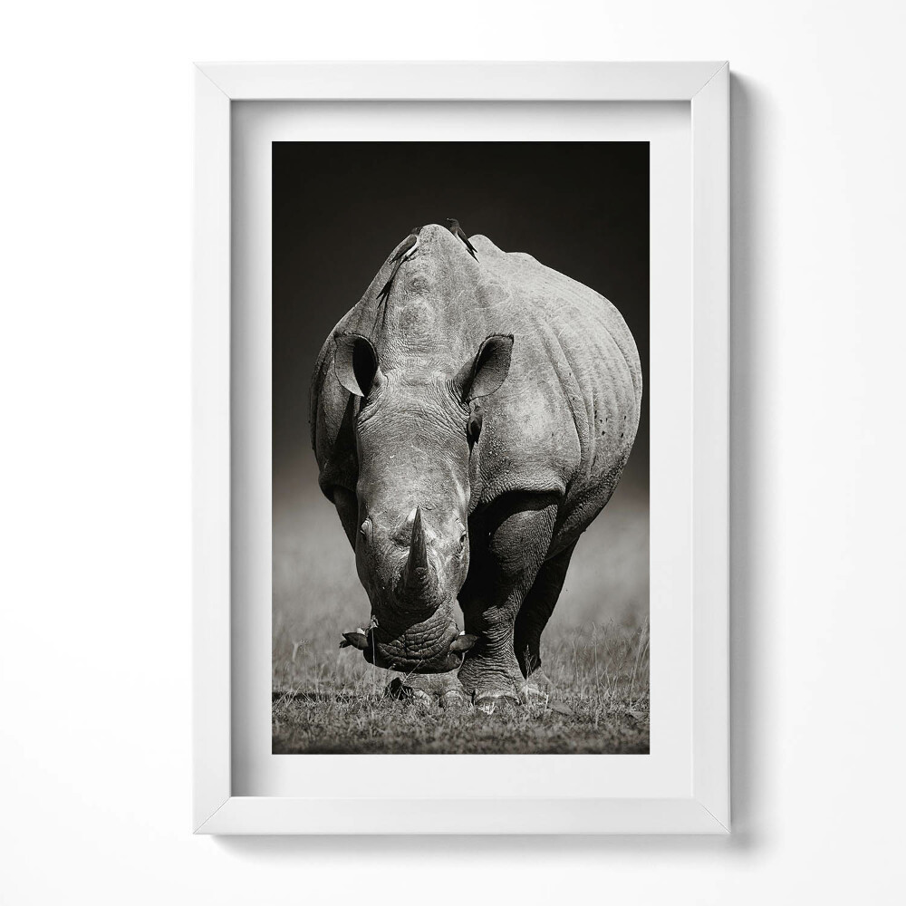 Tablou rama decorativ Rinocer alb-negru