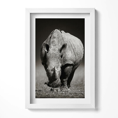 Tablou rama decorativ Rinocer alb-negru