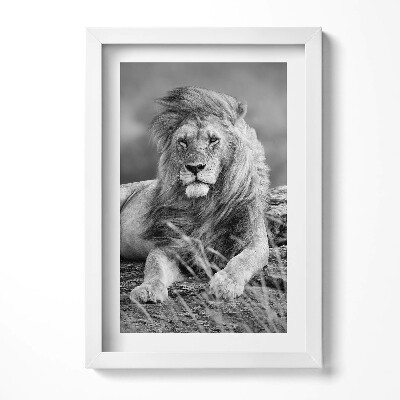 Tablou rama decorativ Leul animal maiestuos