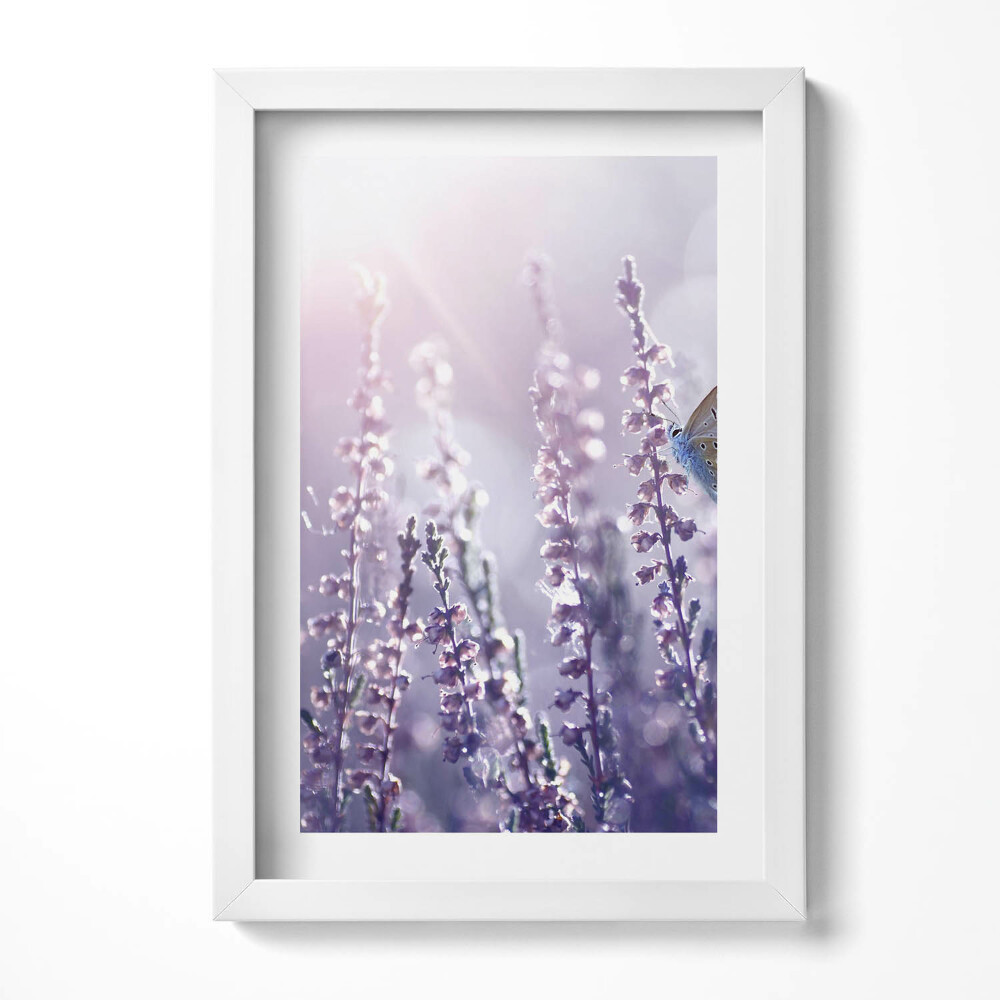 Tablou living cu rama decorativ Fluture pe flori sălbatice