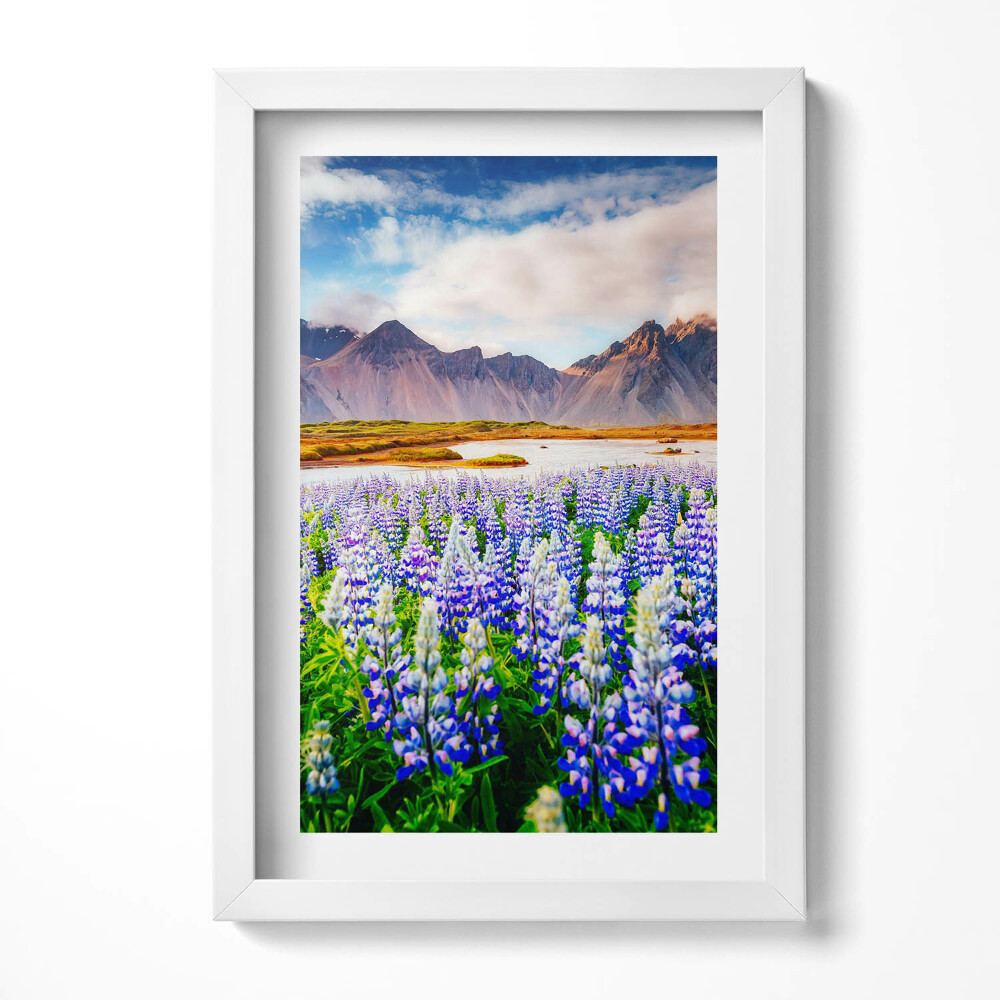 Tablou living cu rama decorativ Flori magice de lupin