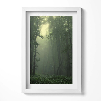 Tablou rama decorativ Pădurea încețoșată dimineața