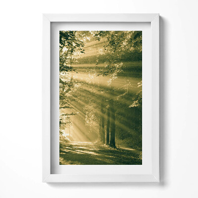 Tablou living cu rama decorativ Razele soarelui în pădure