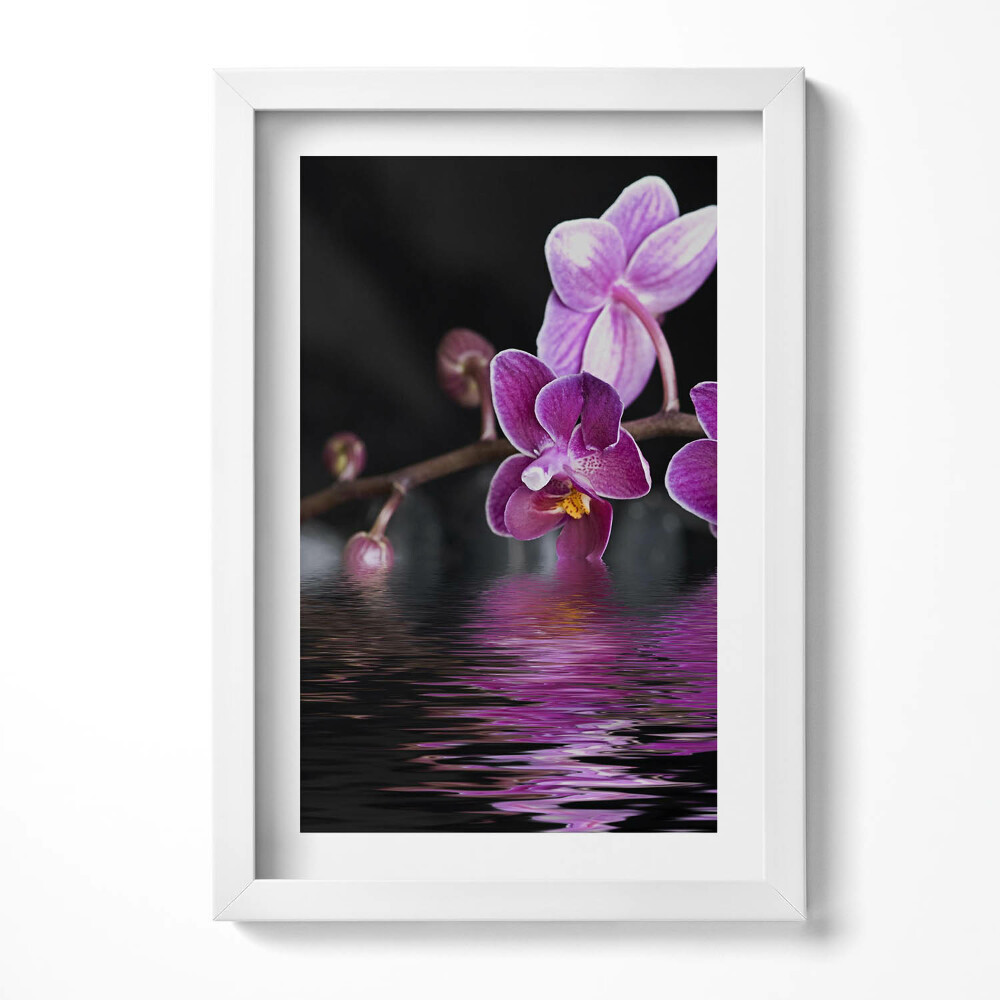 Tablou living cu rama decorativ Orhidee roz pe apă