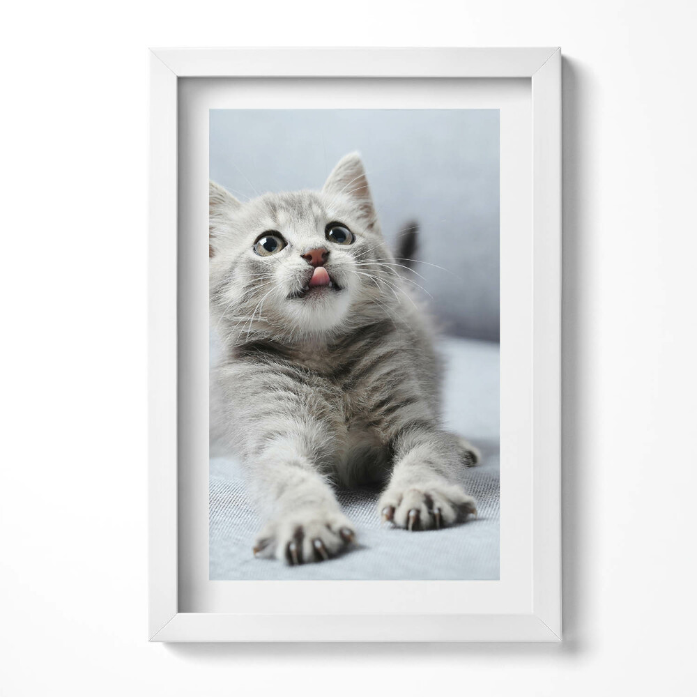 Tablou living cu rama decorativ Pisicuță adorabilă pe canapea