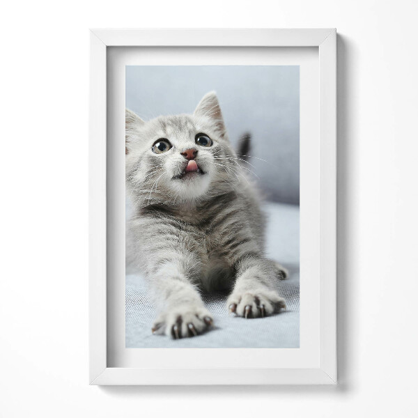 Tablou living cu rama decorativ Pisicuță adorabilă pe canapea