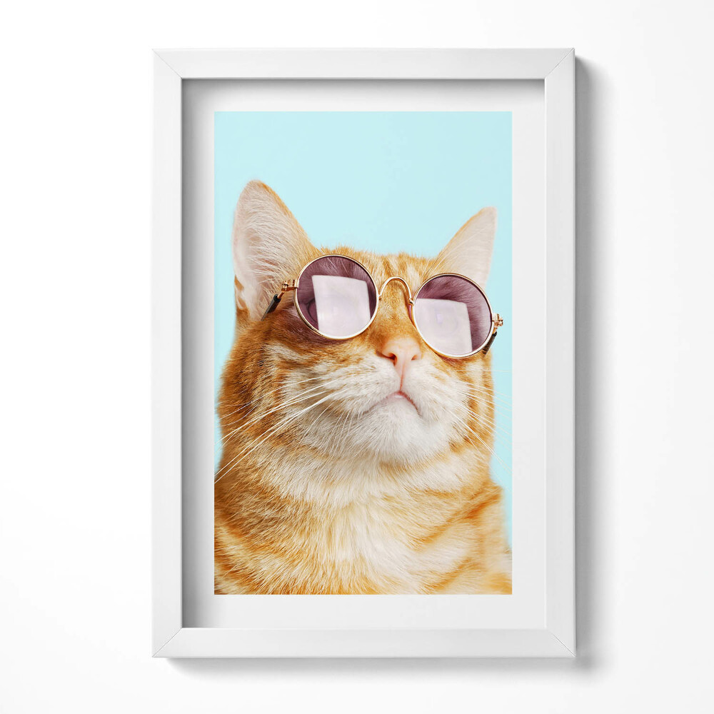 Tablou rama decorativ Pisică amuzantă cu ochelari