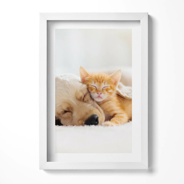 Tablou living cu rama decorativ Animale care dorm, pisică și câine