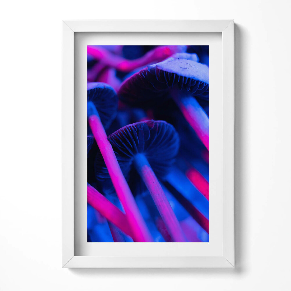 Tablou rama decorativ Ciuperci magice colorate