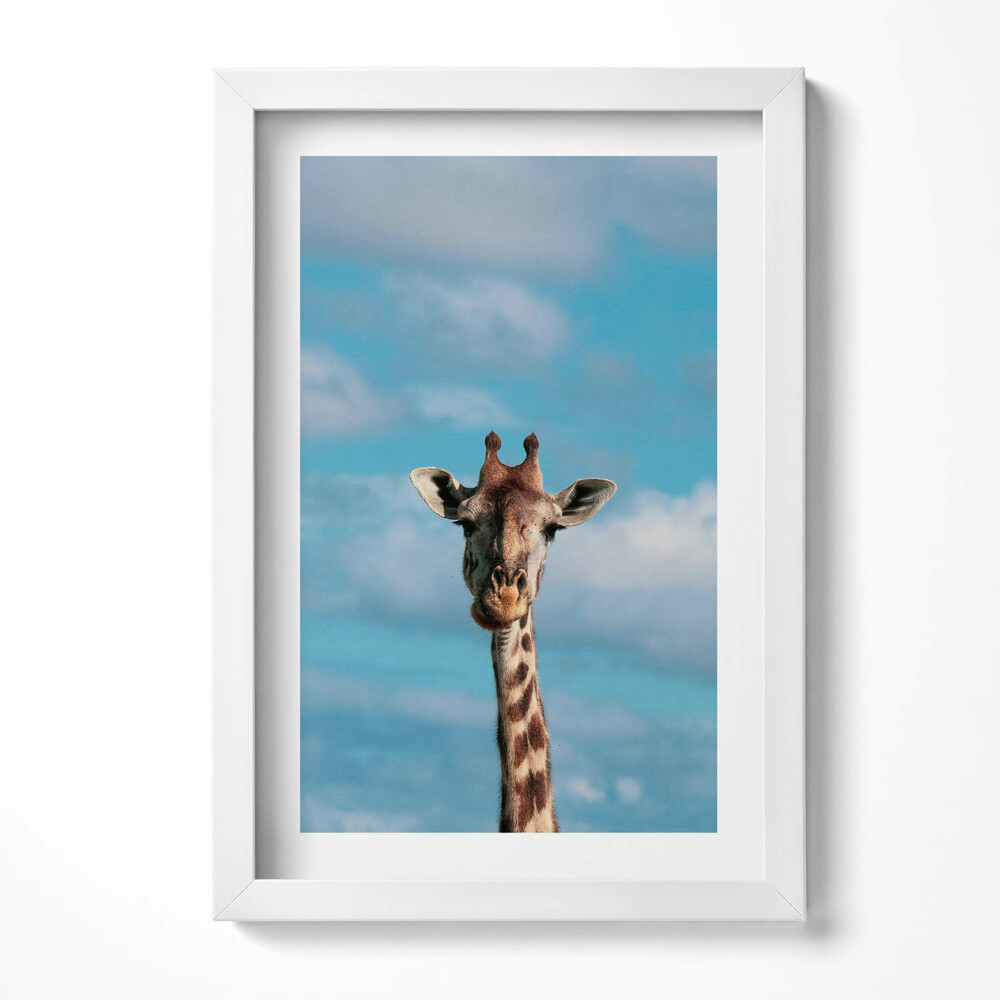 Tablou living cu rama decorativ Cap de girafă pe cer