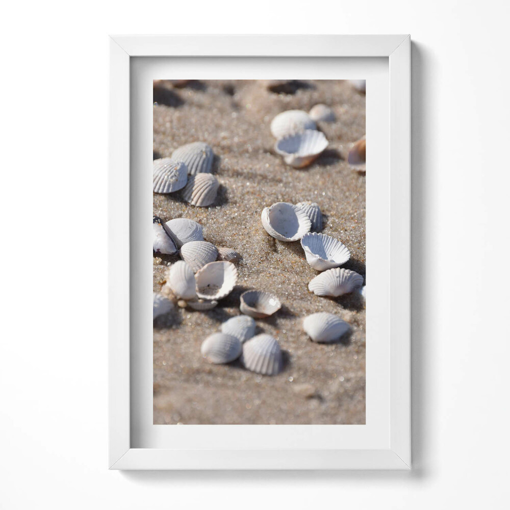 Tablou rama decorativ Scoici pe plajă