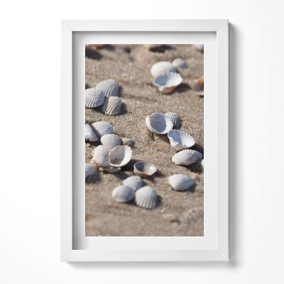 Tablou rama decorativ Scoici pe plajă