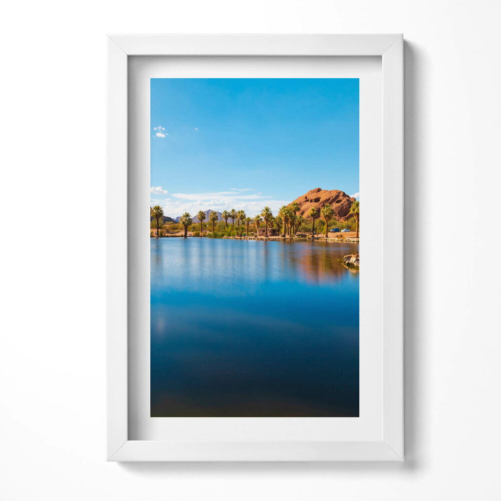 Tablou rama decorativ Peisajul parcului Papago