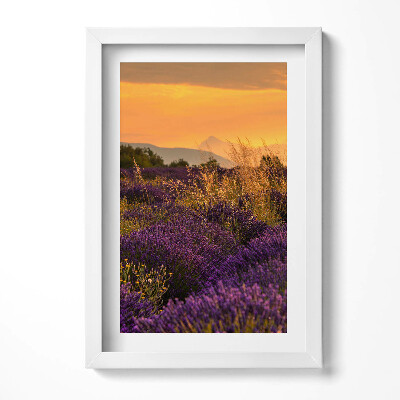 Tablou living cu rama decorativ Pajiște de lavandă Provence Franța