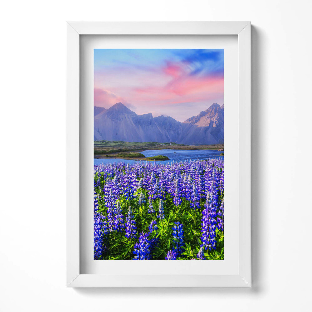 Tablou rama decorativ Câmpuri de lavandă - Islanda