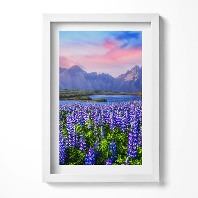 Tablou rama decorativ Câmpuri de lavandă - Islanda