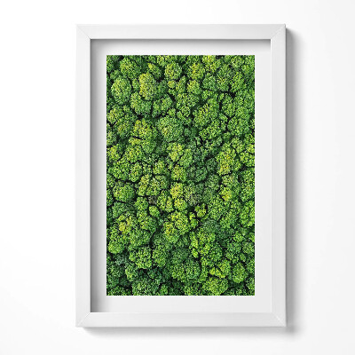 Tablou living cu rama decorativ Pădurea din vedere