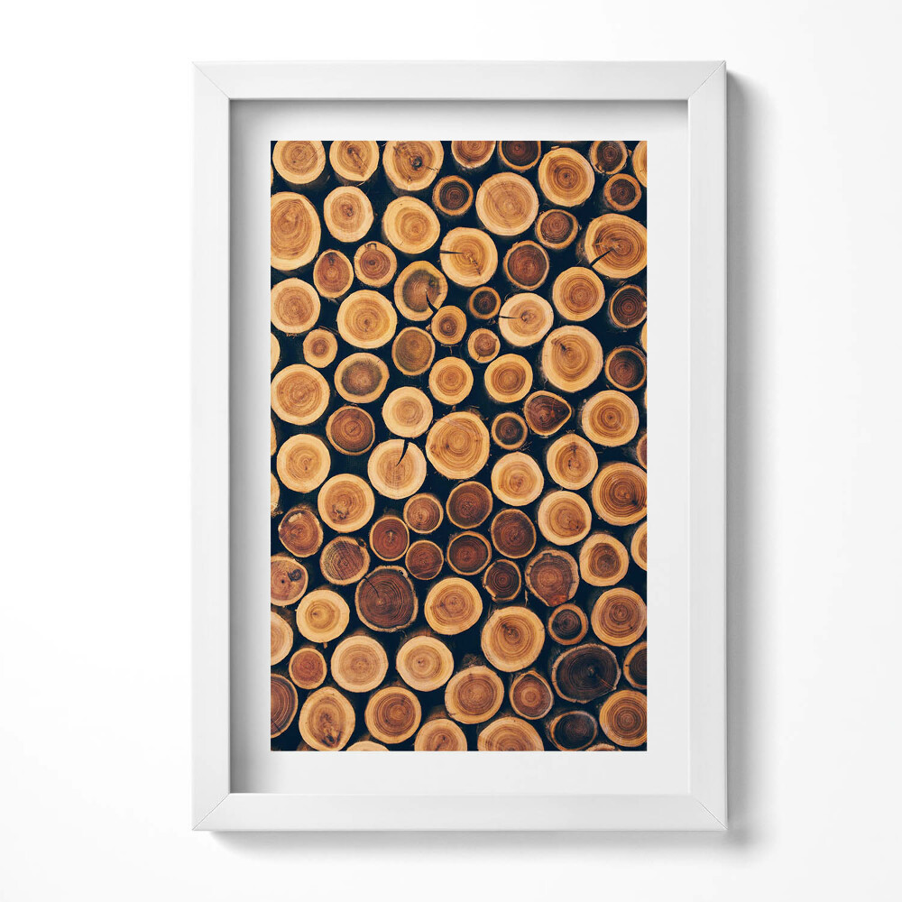 Tablou living cu rama decorativ Buturugi de copac din lemn