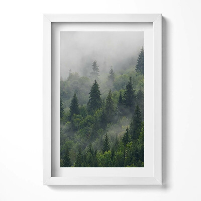 Tablou living cu rama decorativ Peisaj de pădure în ceață