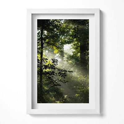 Tablou rama decorativ Razele soarelui și copacii