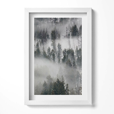 Tablou rama decorativ Peisaj de pădure cețos