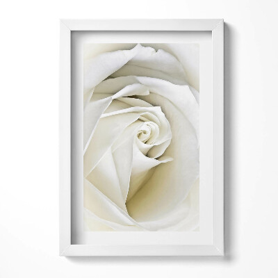 Tablou rama decorativ Petale delicate de trandafir alb