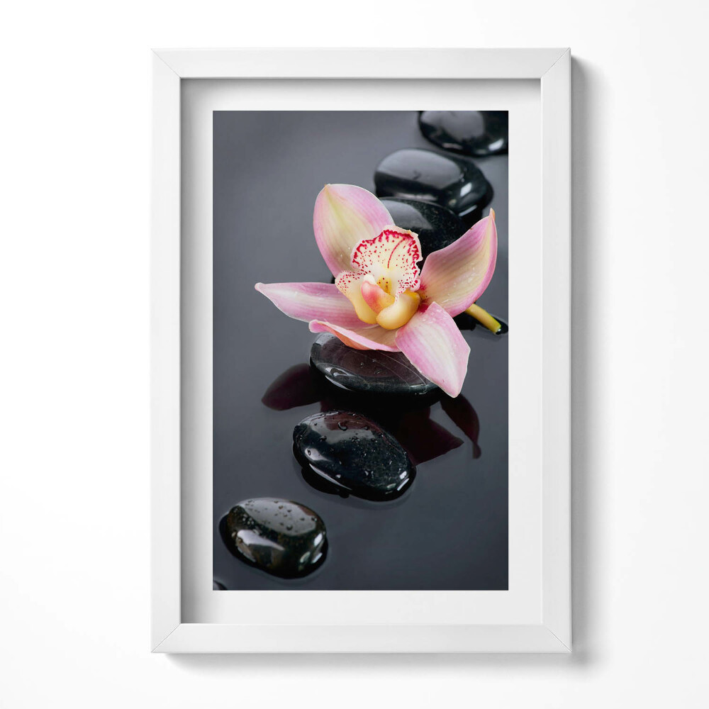 Tablou rama decorativ Flori pe pietre în apă