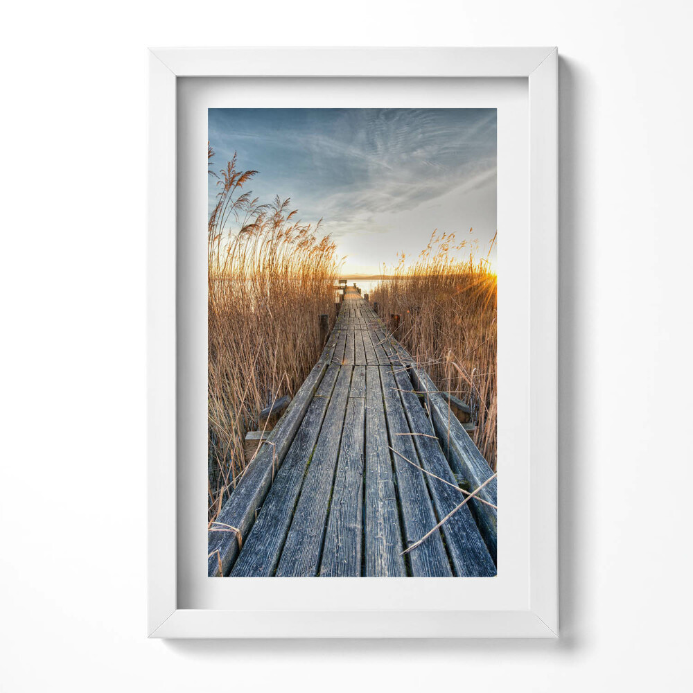 Tablou living cu rama decorativ Un drum de lemn printre copaci