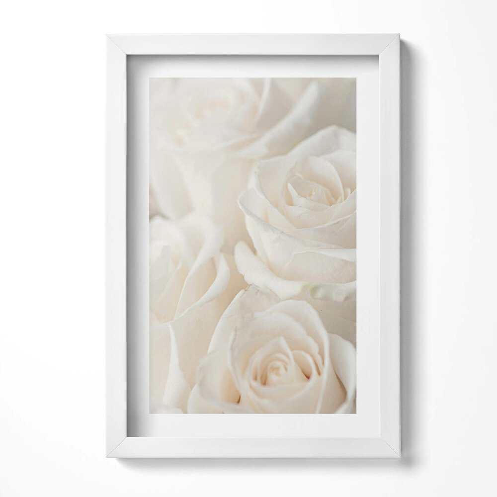 Tablou living cu rama decorativ Alb delicat diverse